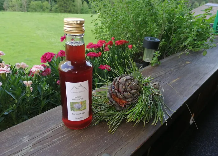 Schmid Appartement *