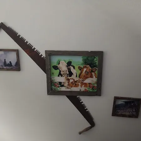 Schmid 세르파우스