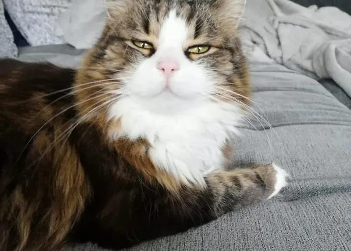 Schmid Apartmán Serfaus